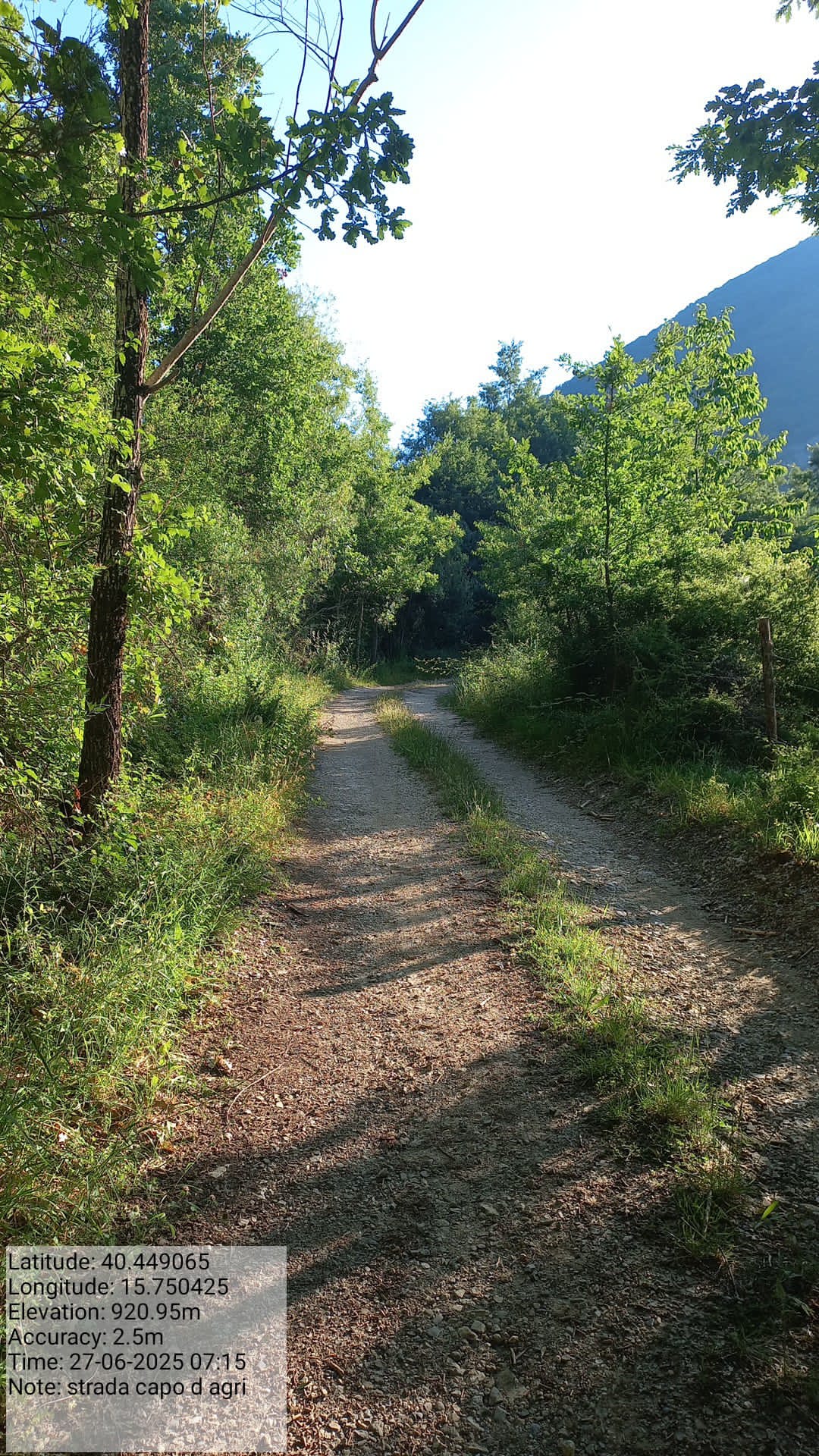 Galleria Fotografica Immagine