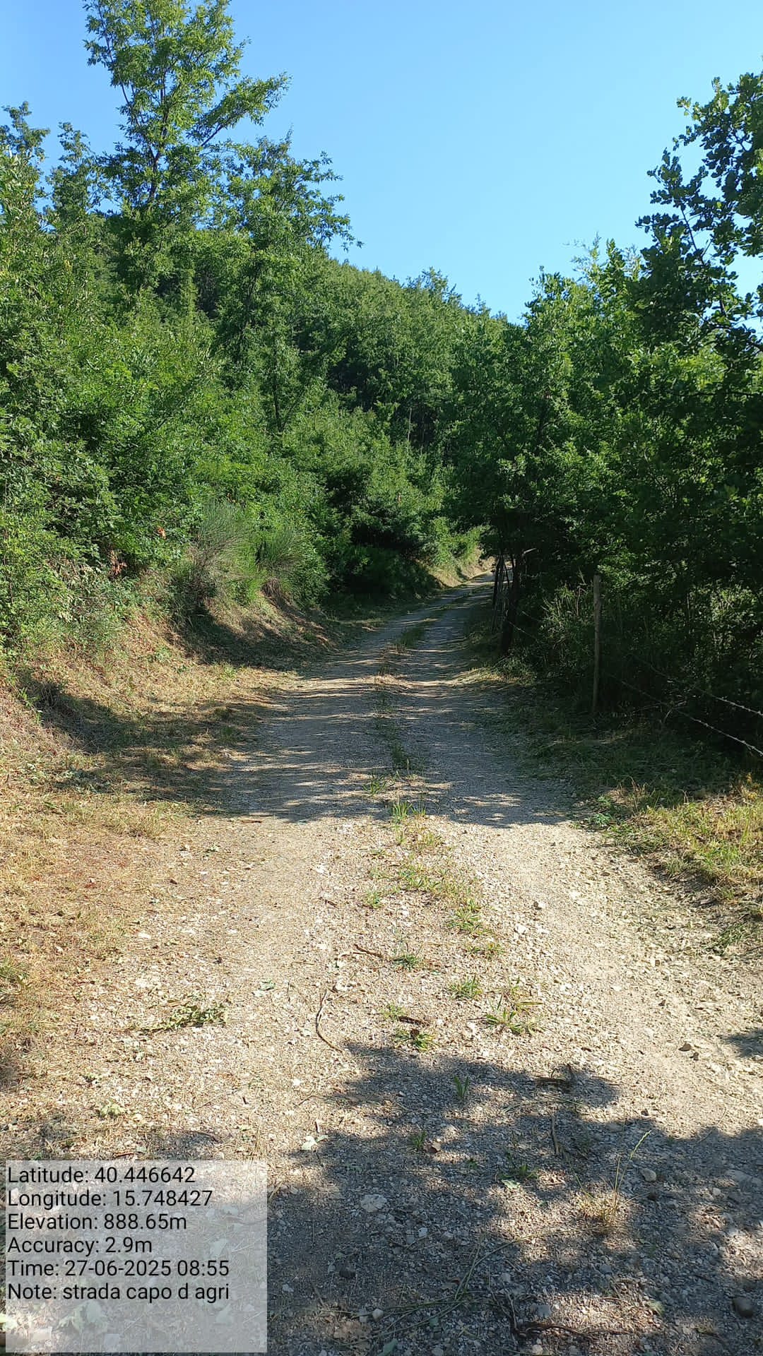 Galleria Fotografica Immagine