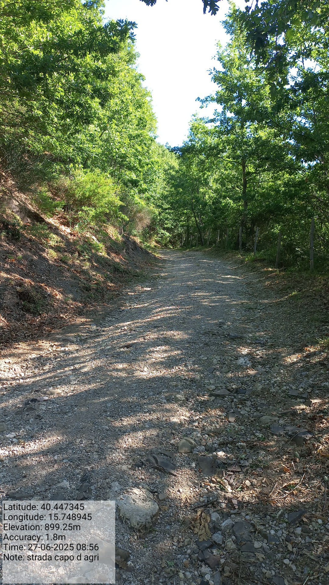 Galleria Fotografica Immagine