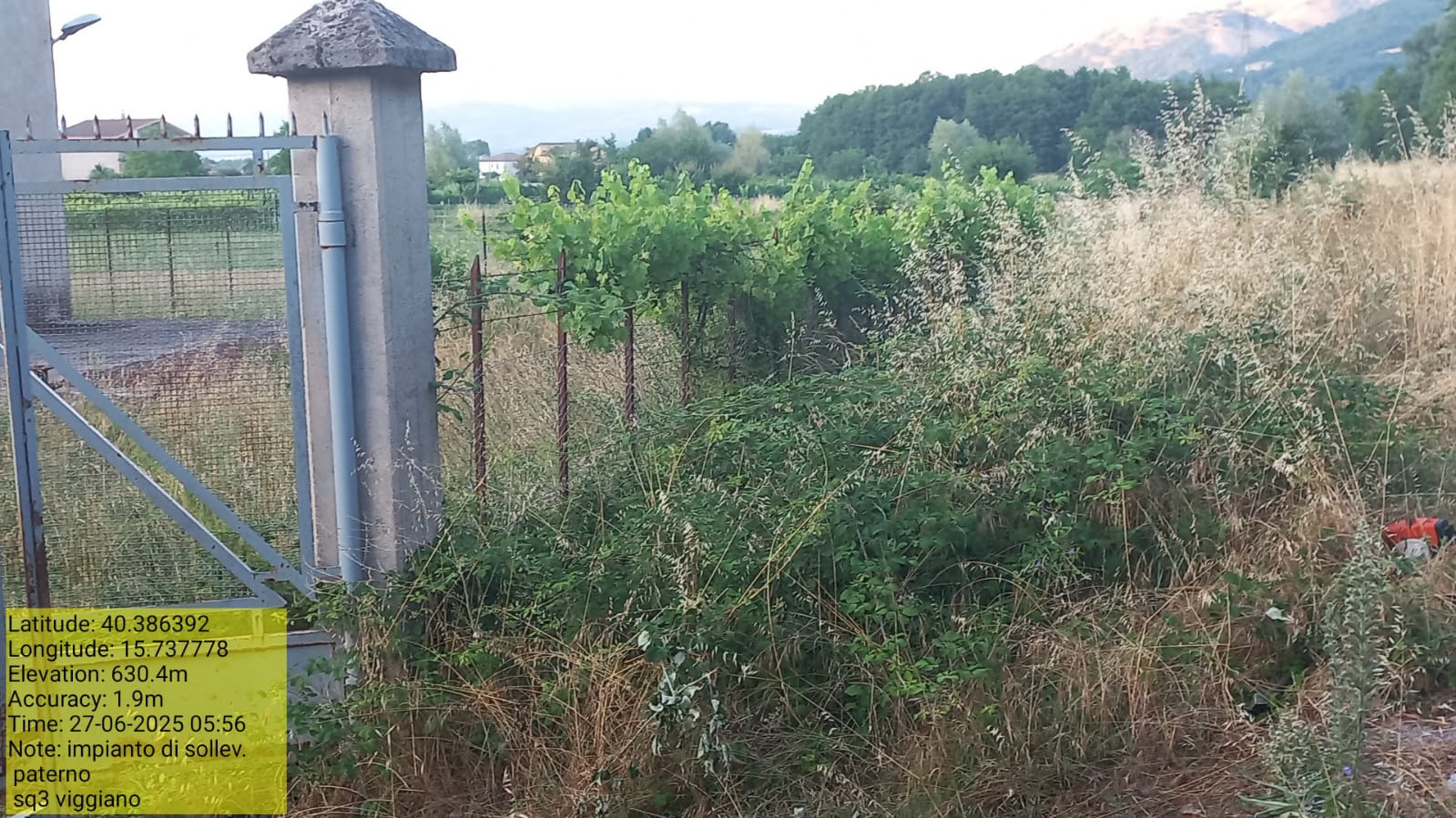 Galleria Fotografica Immagine