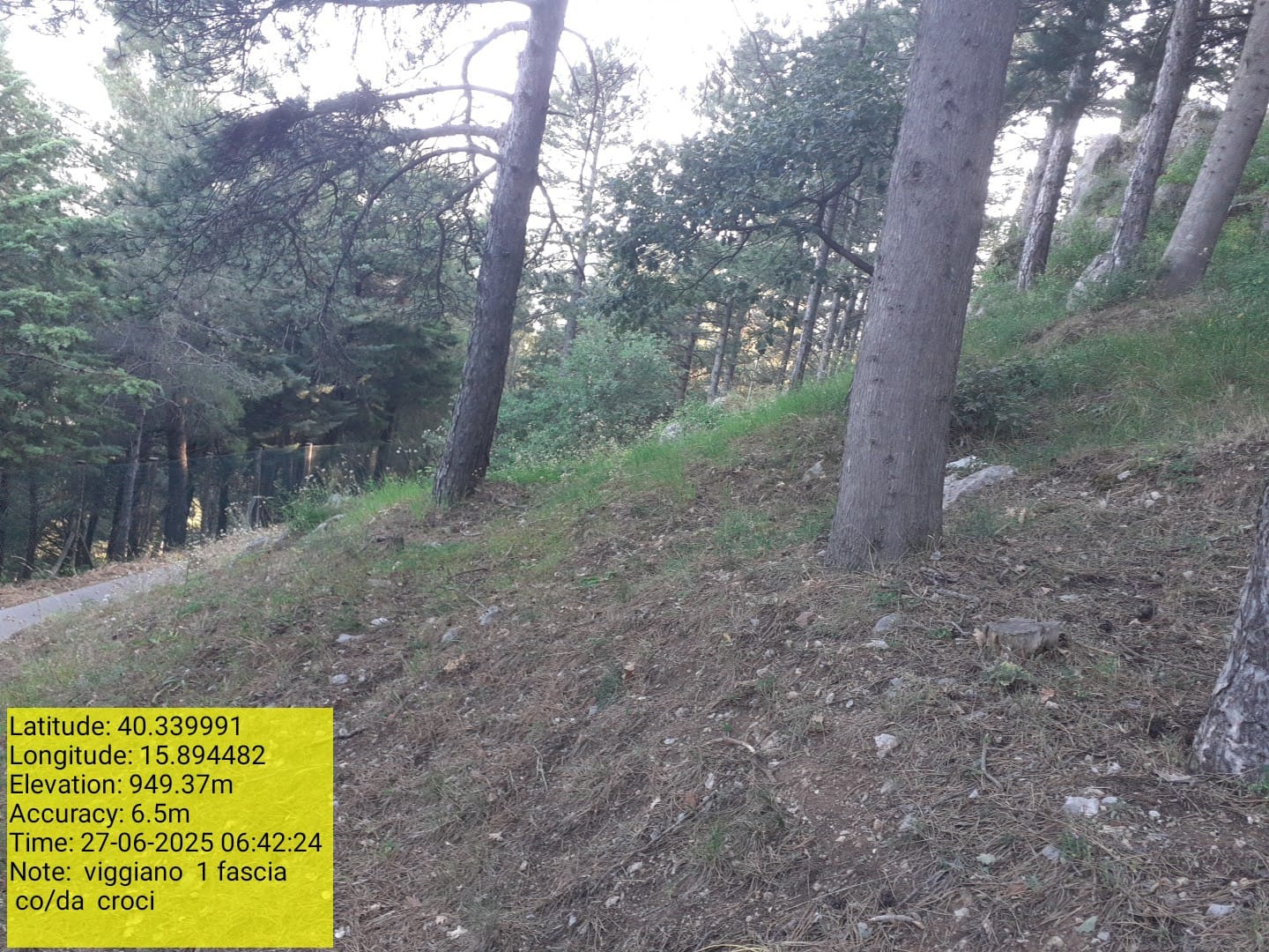 Galleria Fotografica Immagine