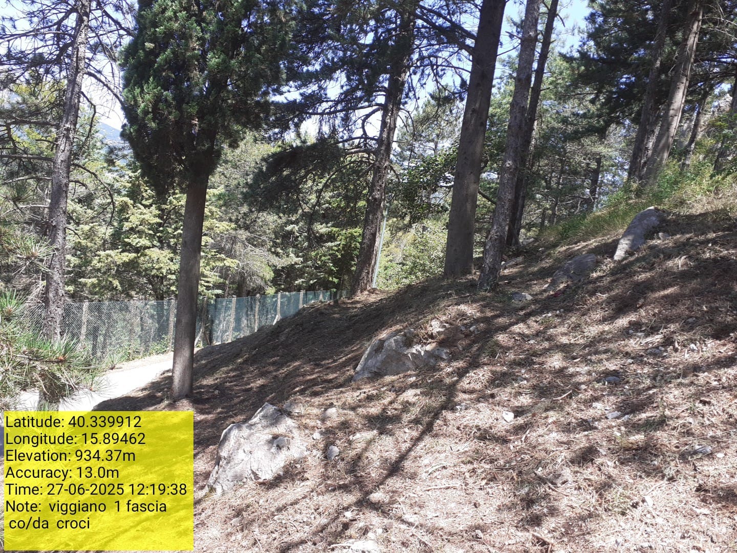 Galleria Fotografica Immagine