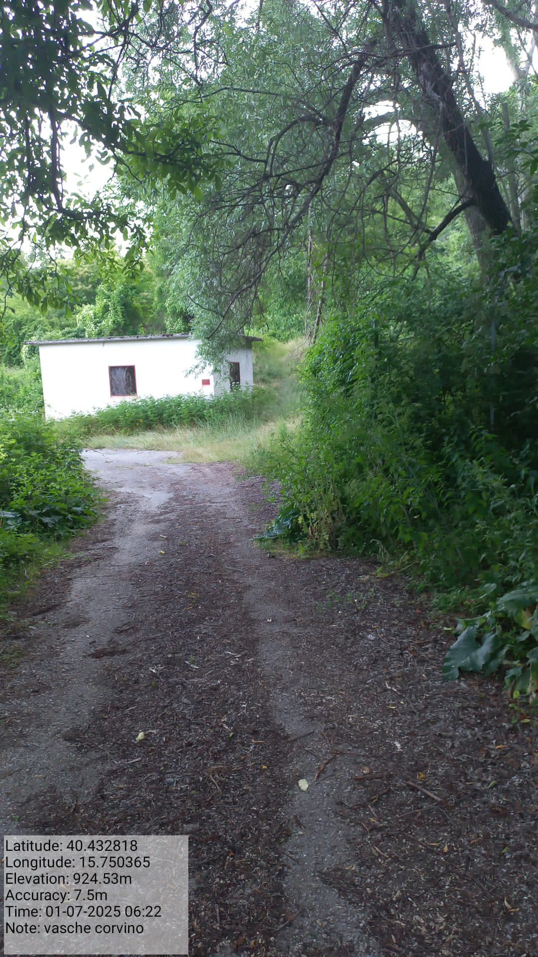 Galleria Fotografica Immagine