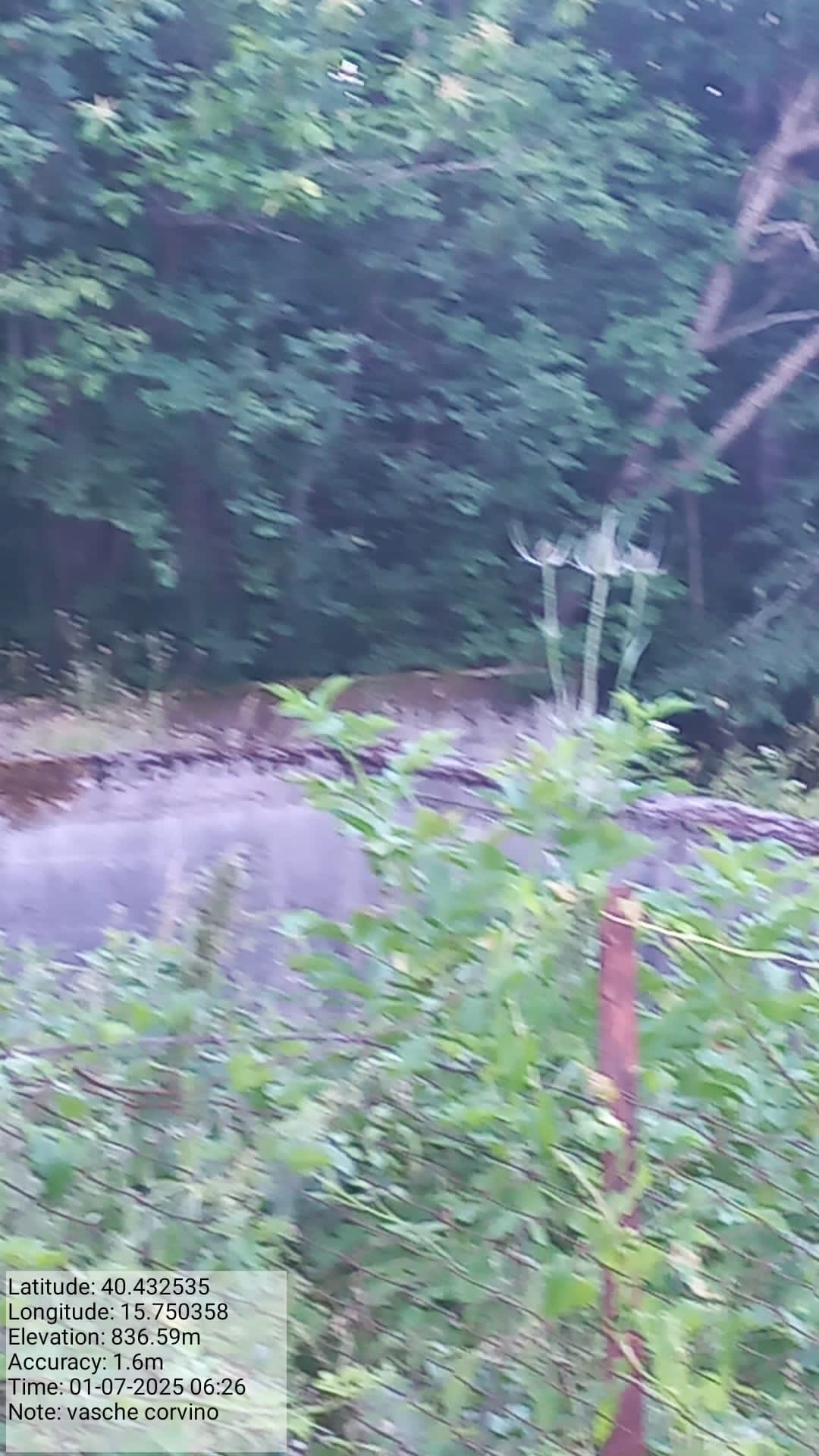 Galleria Fotografica Immagine