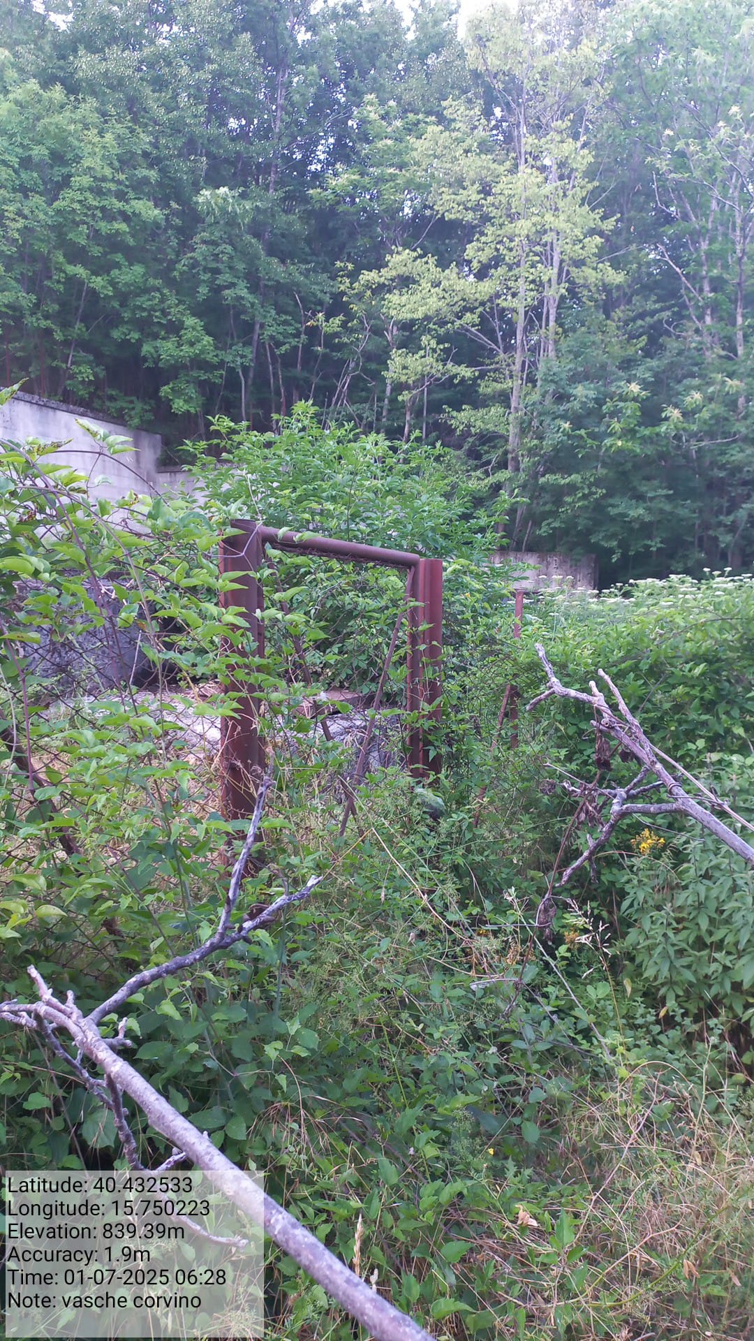 Galleria Fotografica Immagine