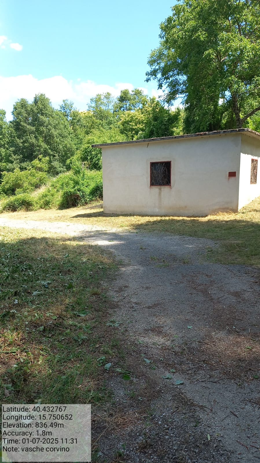 Galleria Fotografica Immagine