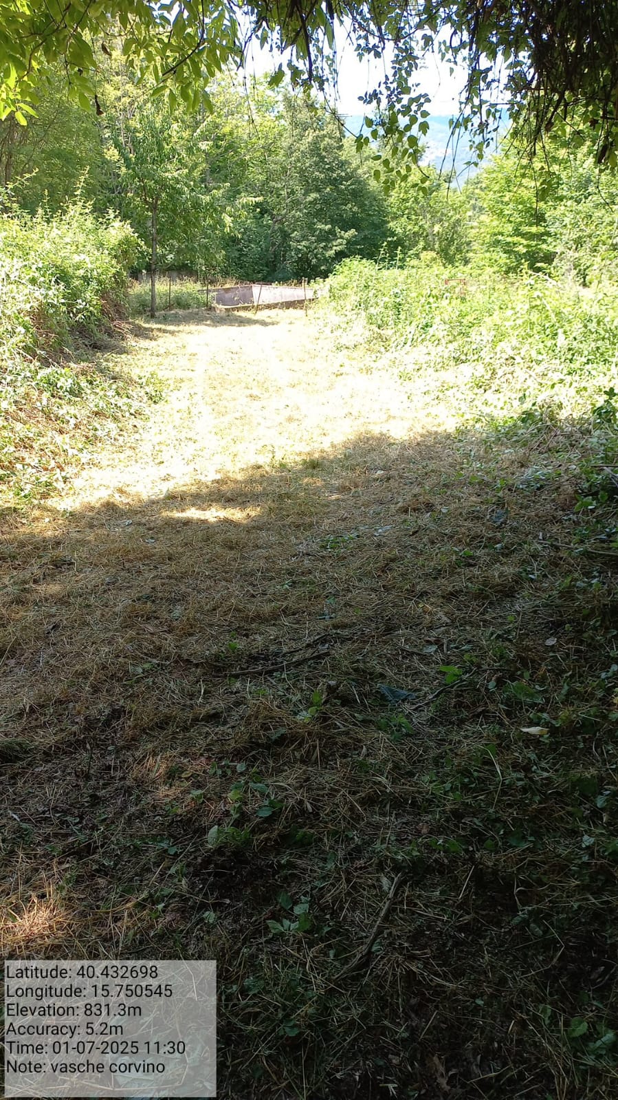 Galleria Fotografica Immagine