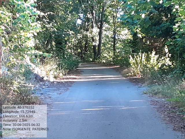 Galleria Fotografica Immagine