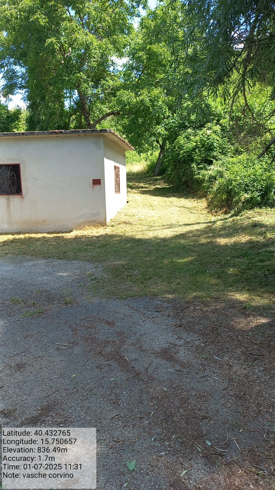 Galleria Fotografica Immagine