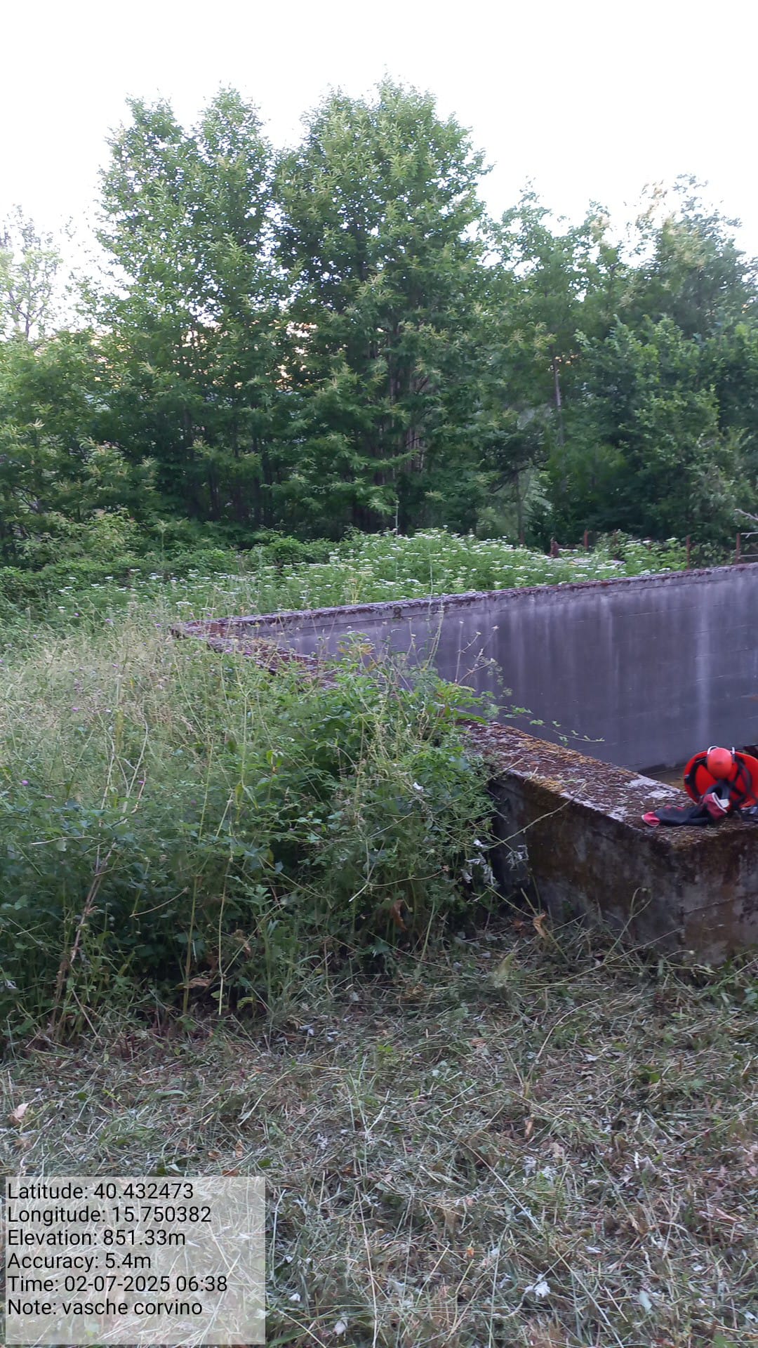 Galleria Fotografica Immagine