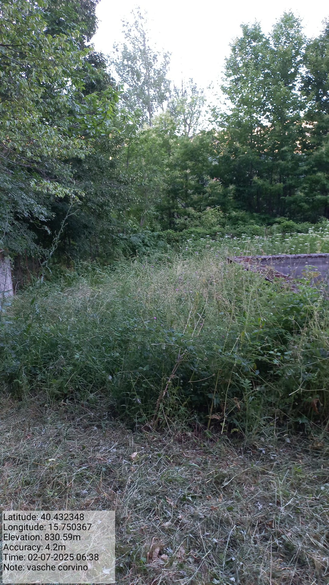 Galleria Fotografica Immagine