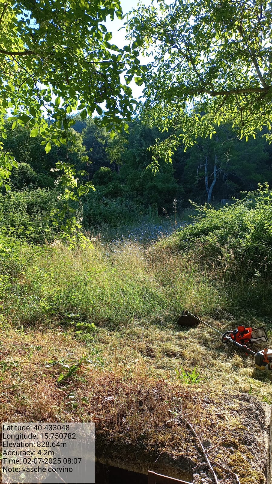 Galleria Fotografica Immagine