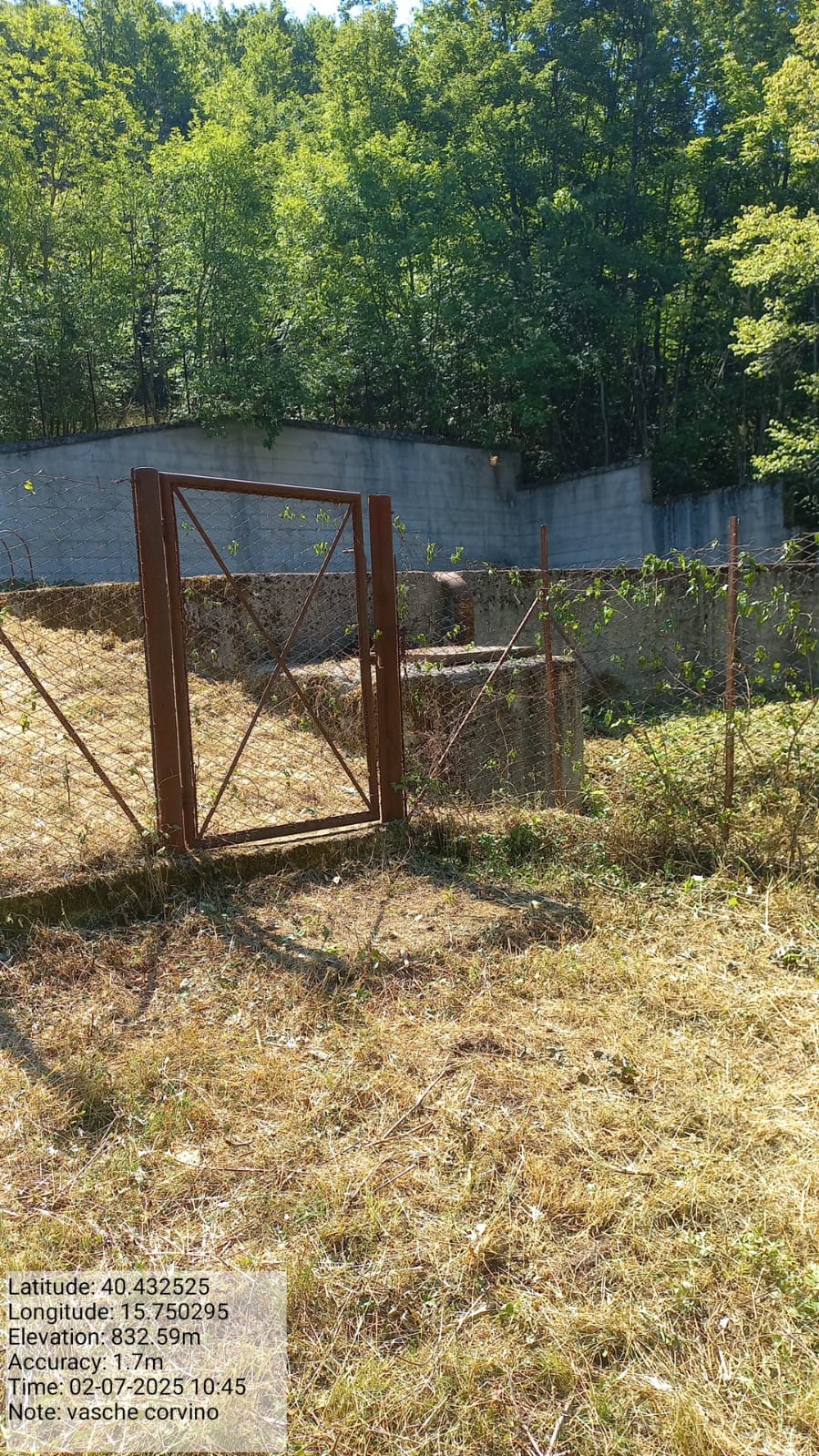 Galleria Fotografica Immagine