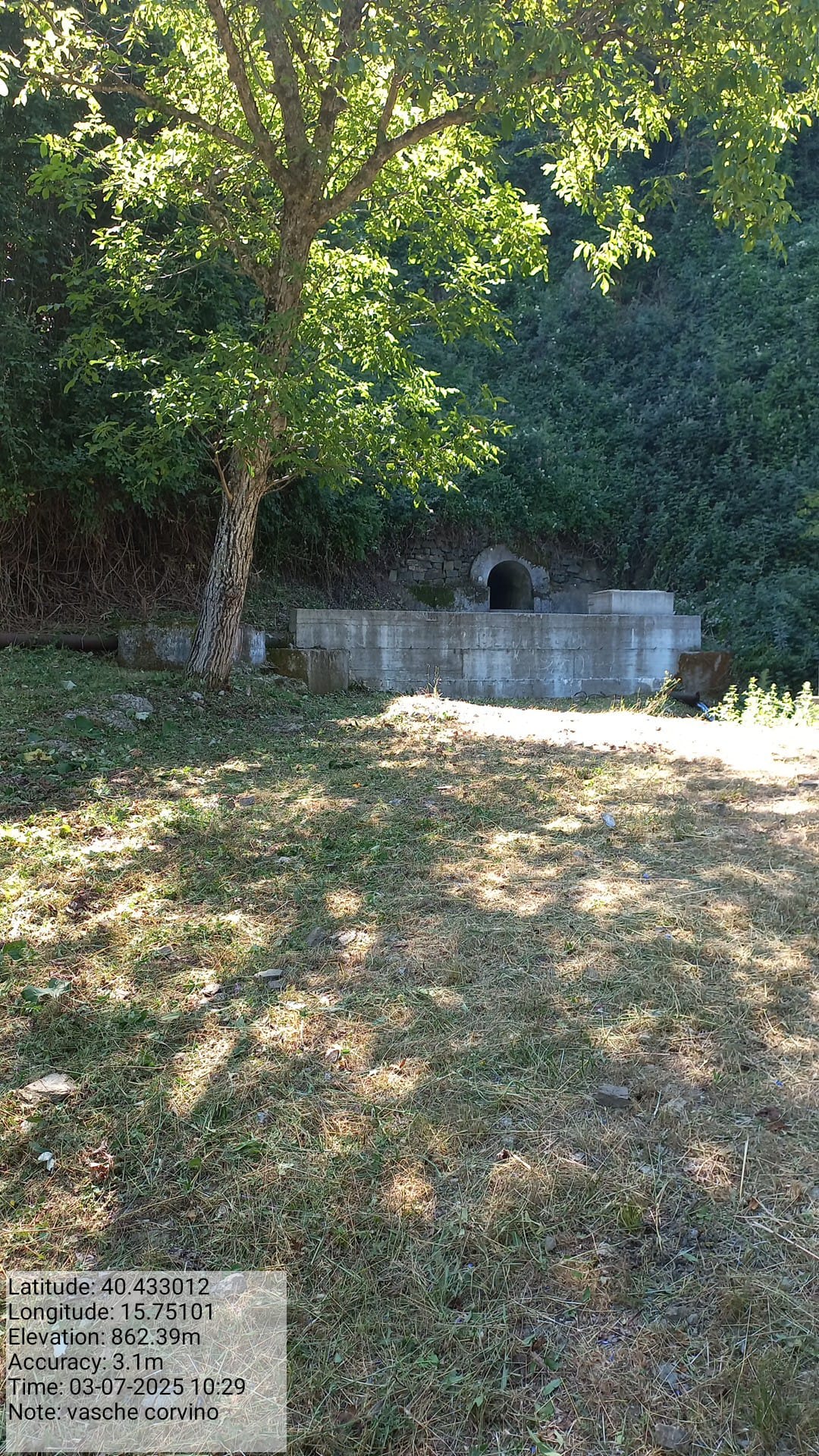 Galleria Fotografica Immagine