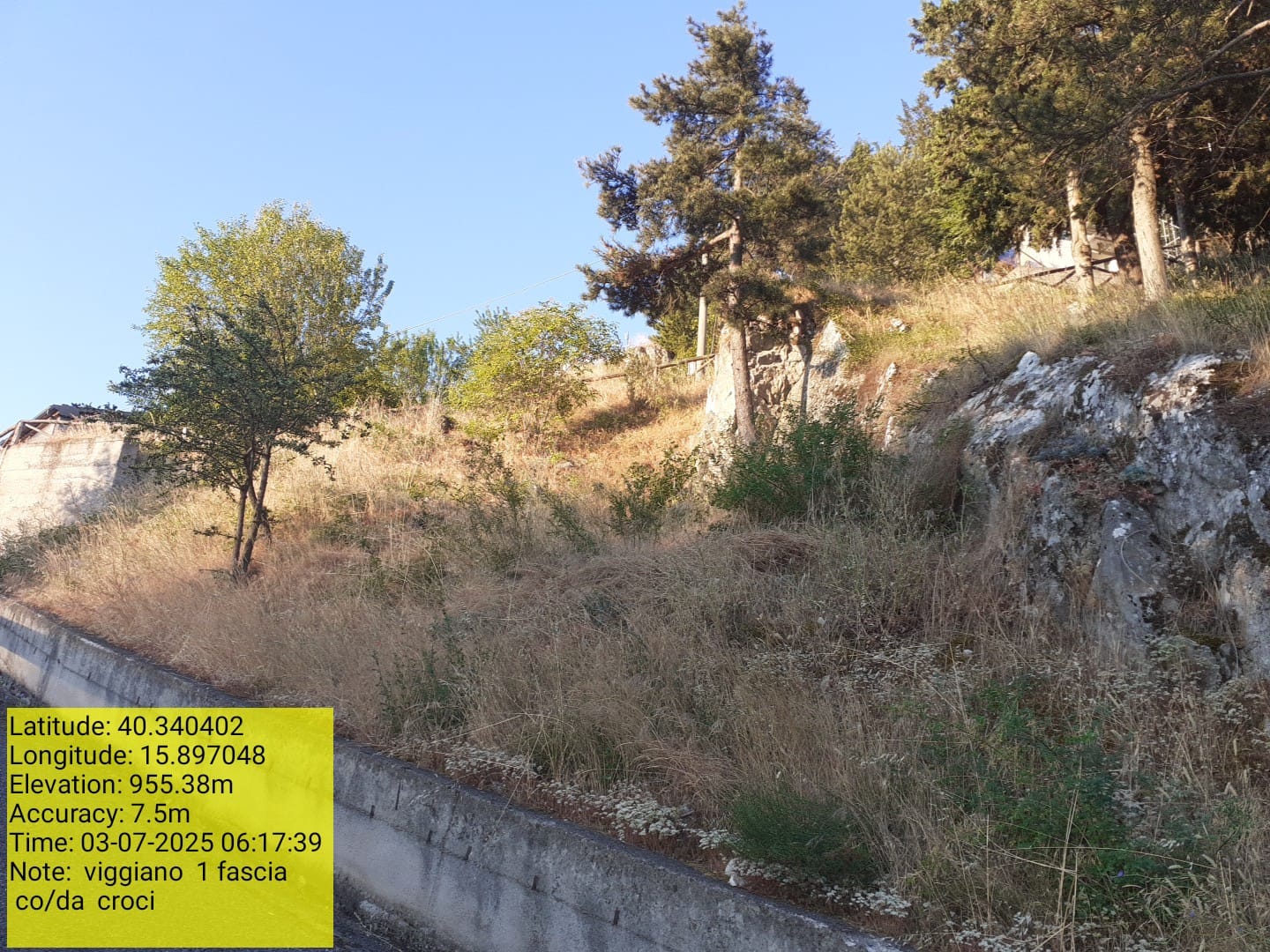 Galleria Fotografica Immagine