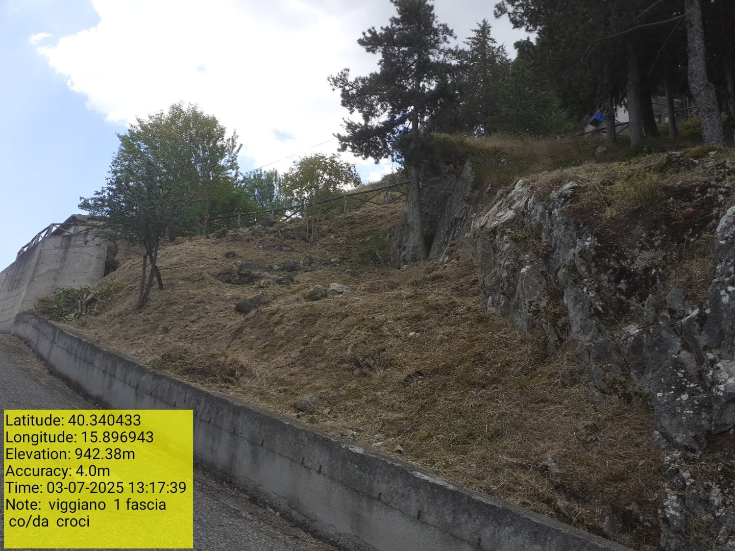 Galleria Fotografica Immagine