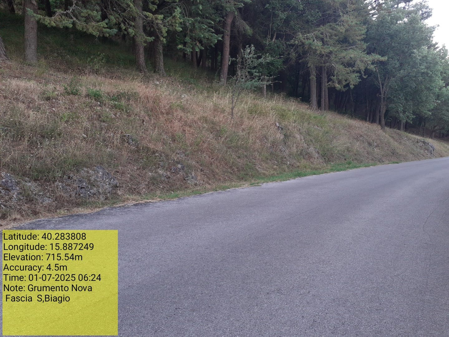 Galleria Fotografica Immagine