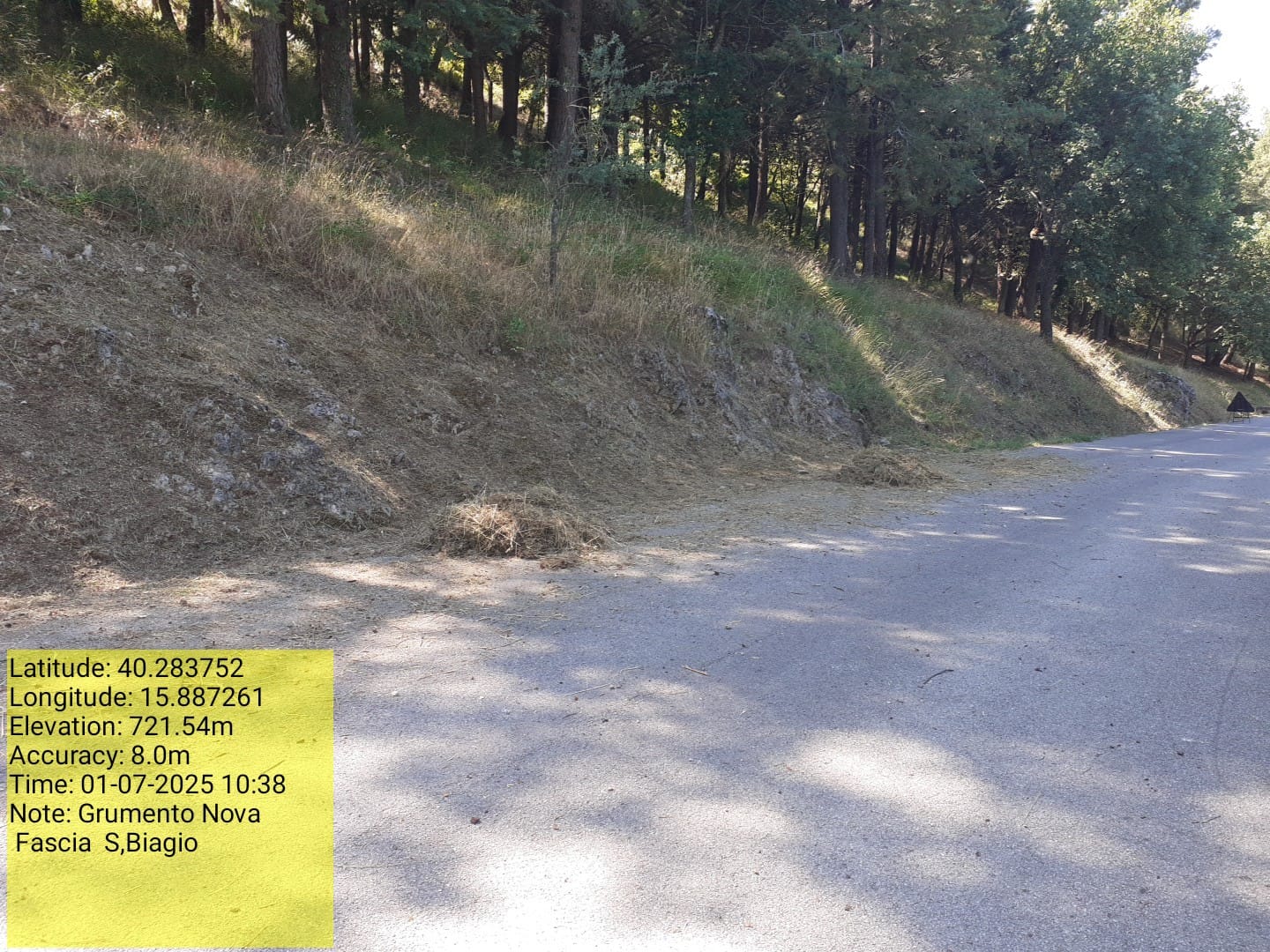 Galleria Fotografica Immagine