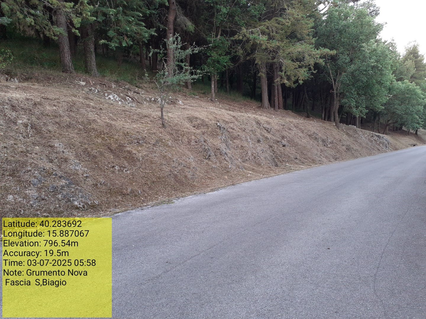 Galleria Fotografica Immagine