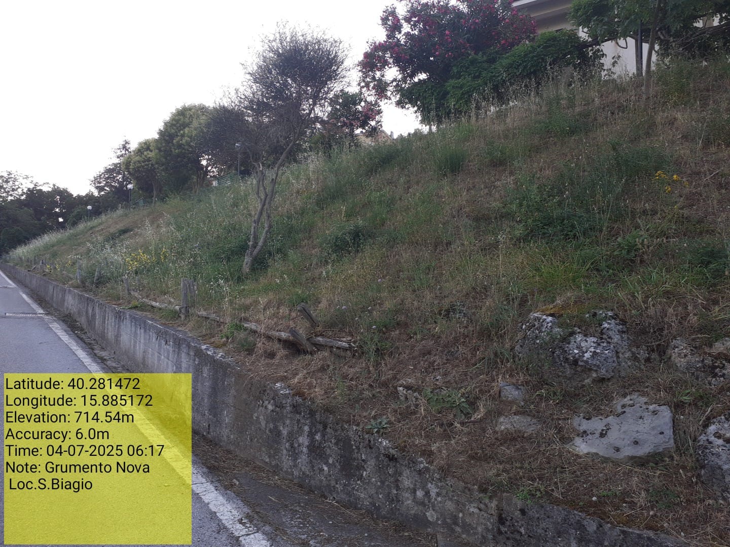 Galleria Fotografica Immagine