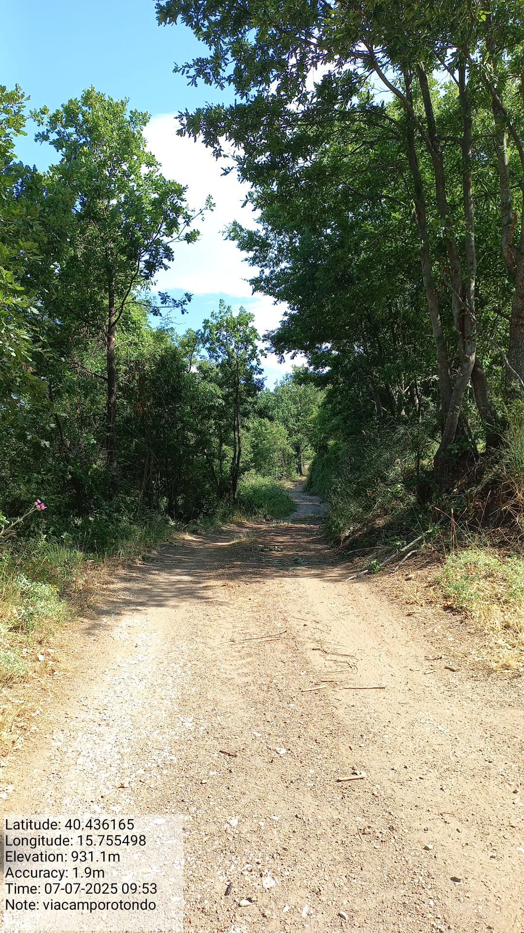 Galleria Fotografica Immagine