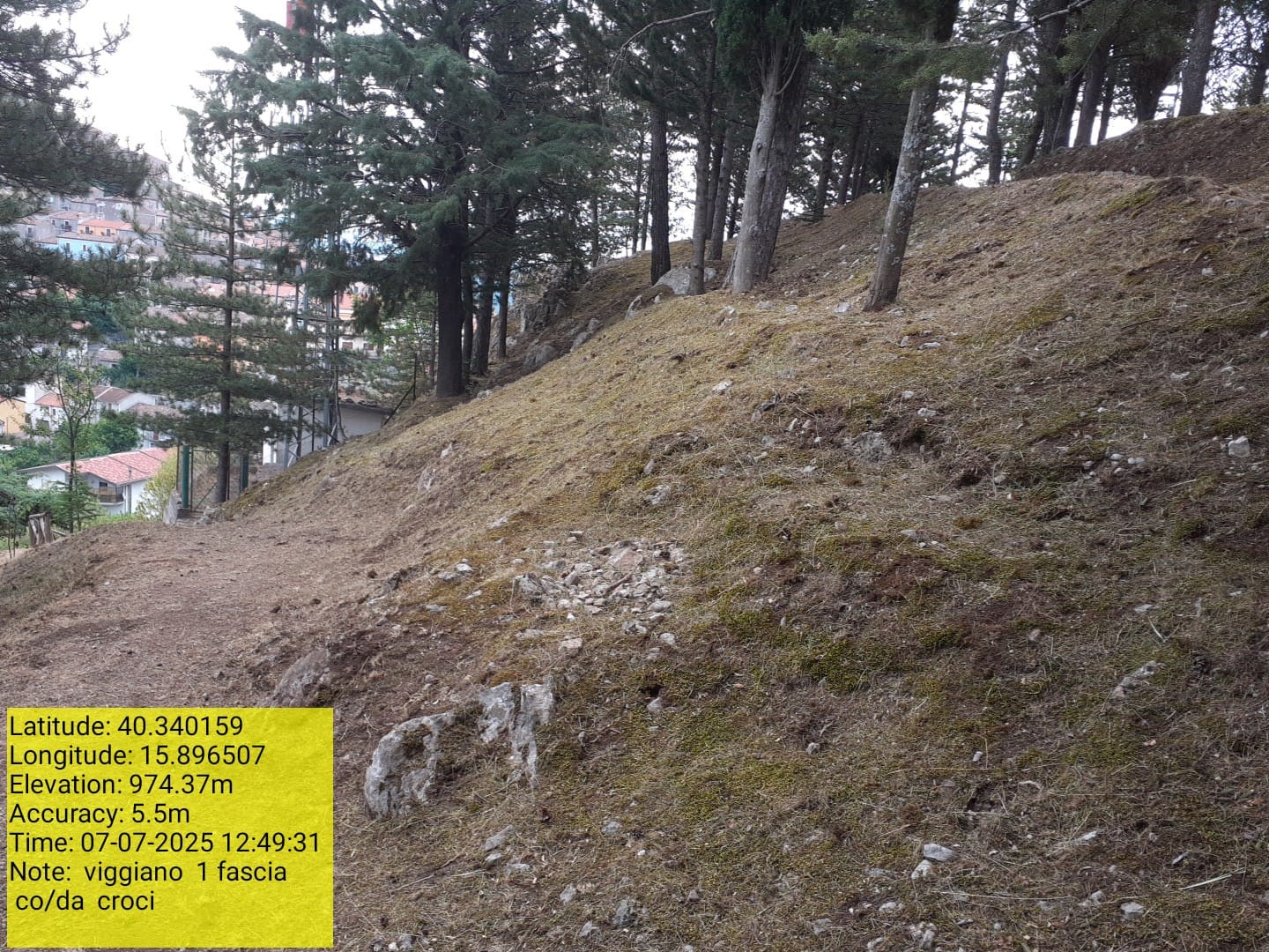 Galleria Fotografica Immagine