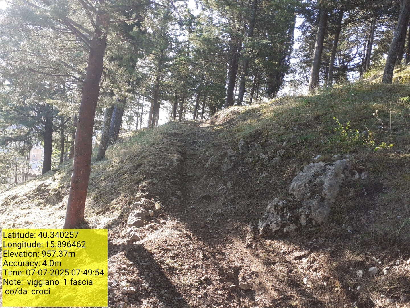 Galleria Fotografica Immagine