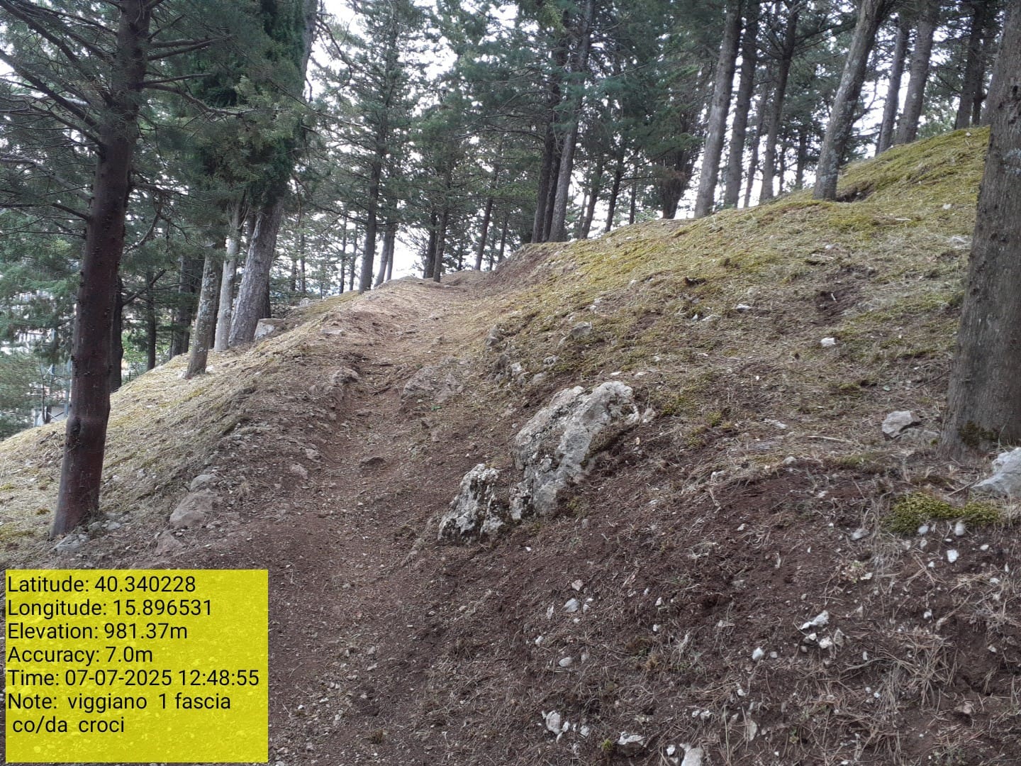 Galleria Fotografica Immagine