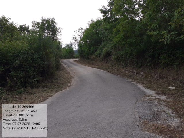 Galleria Fotografica Immagine