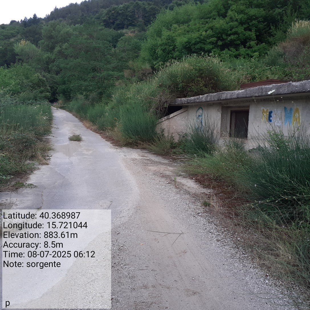 Galleria Fotografica Immagine