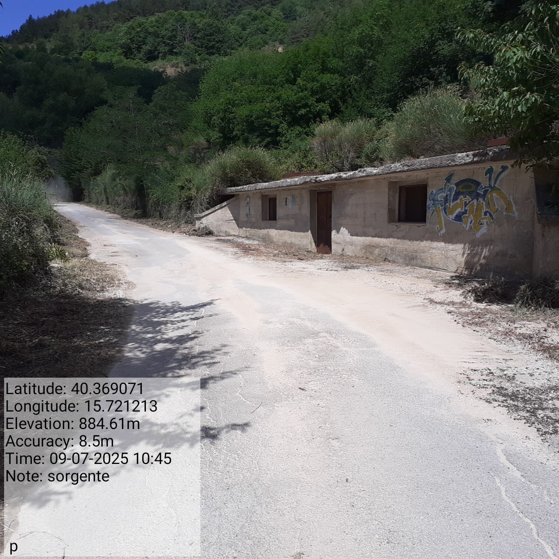 Galleria Fotografica Immagine