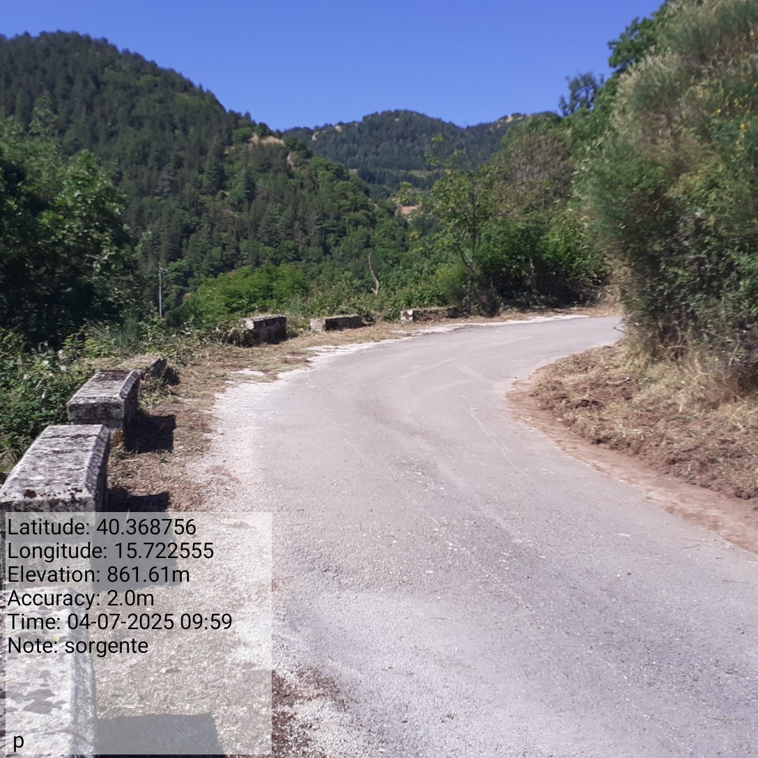 Galleria Fotografica Immagine