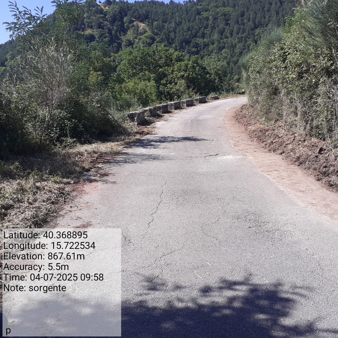 Galleria Fotografica Immagine