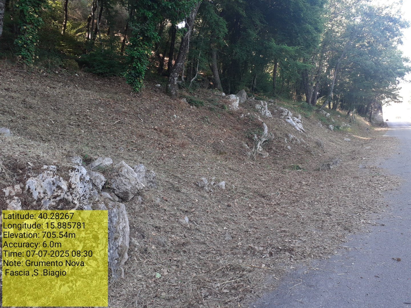 Galleria Fotografica Immagine