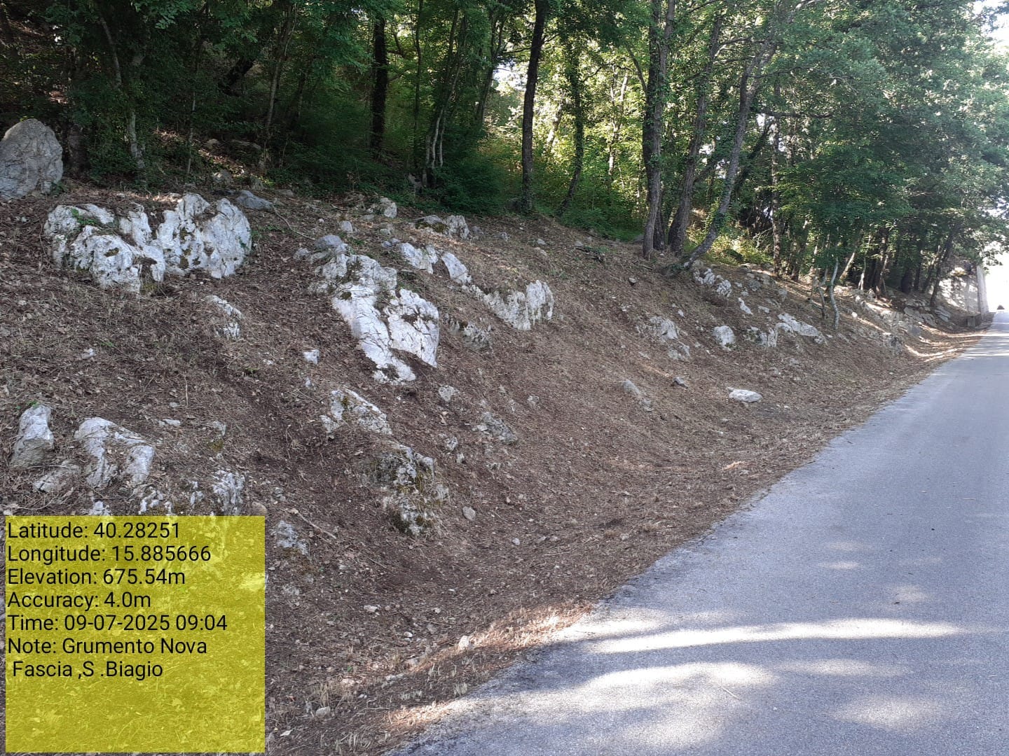 Galleria Fotografica Immagine