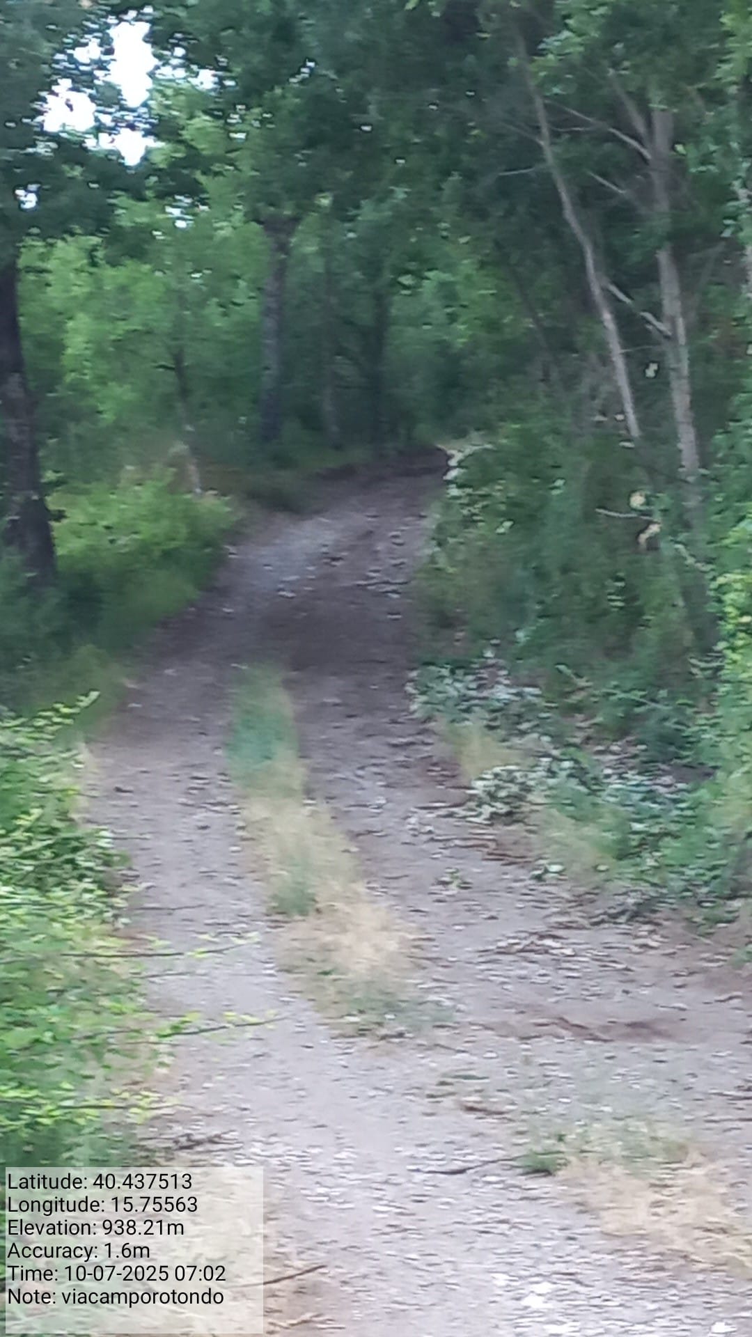 Galleria Fotografica Immagine