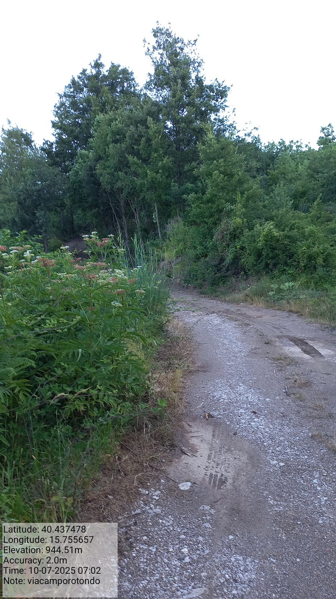 Galleria Fotografica Immagine