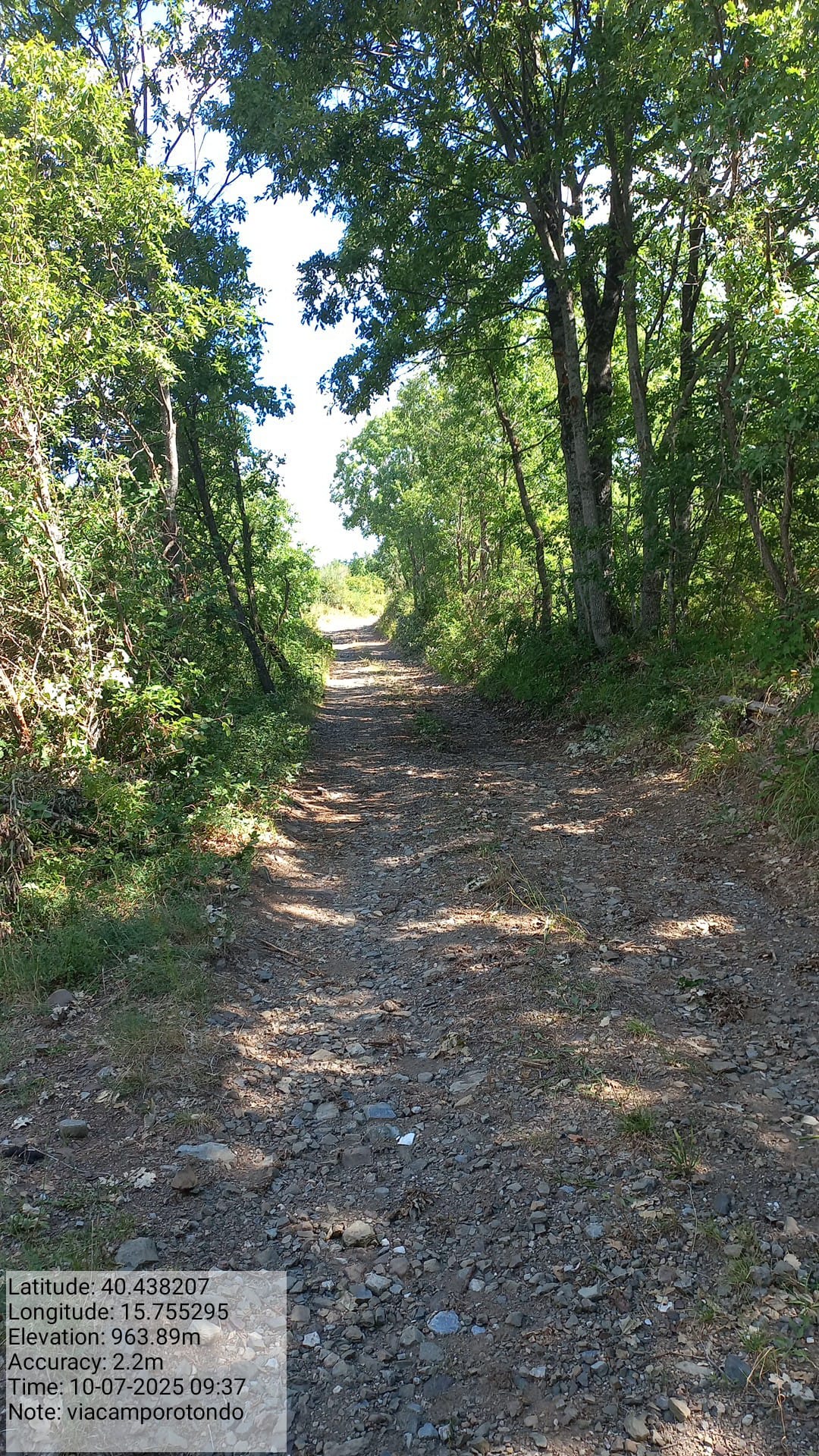 Galleria Fotografica Immagine