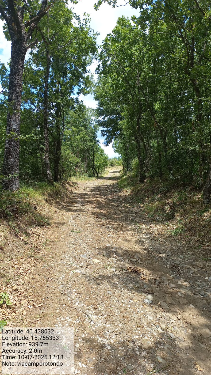 Galleria Fotografica Immagine