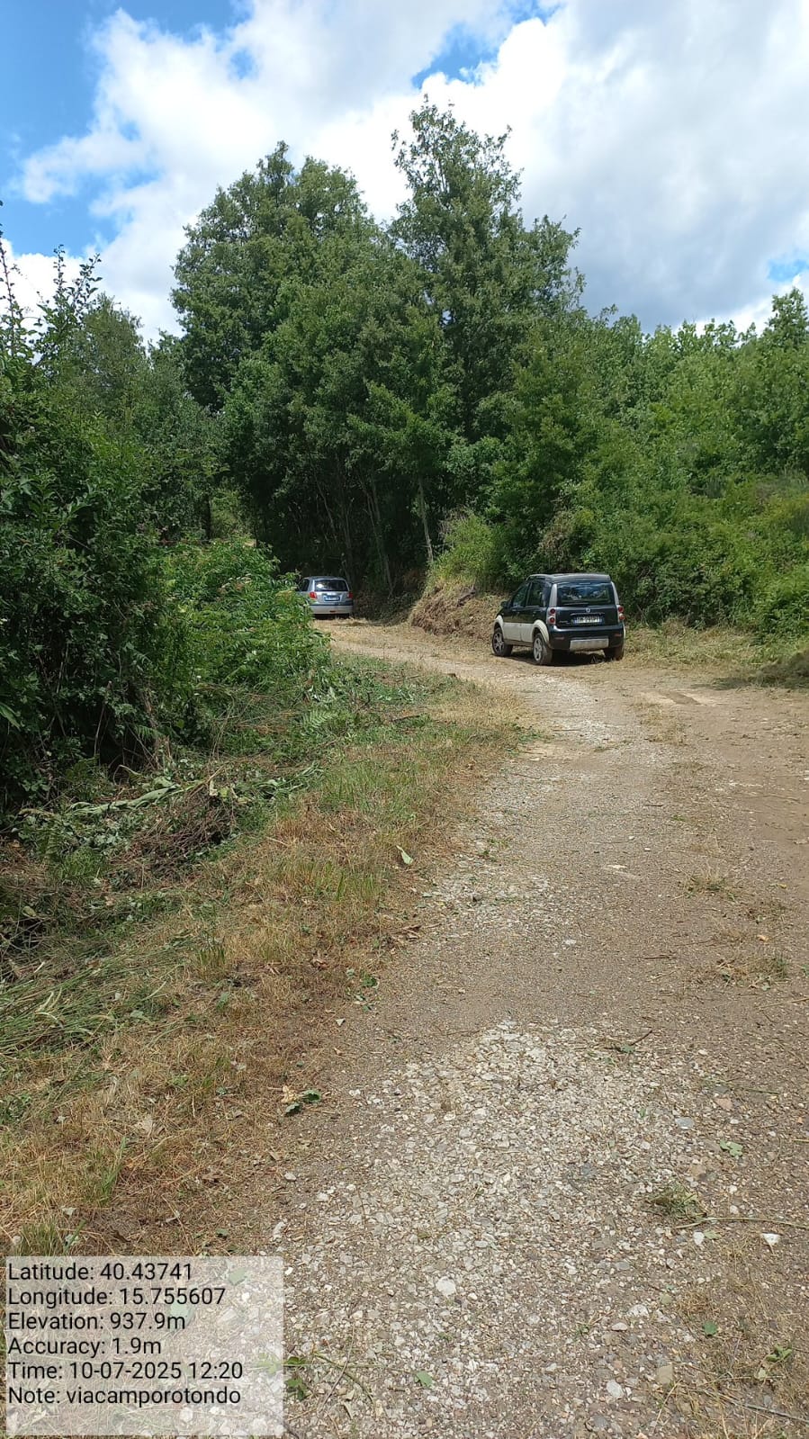 Galleria Fotografica Immagine