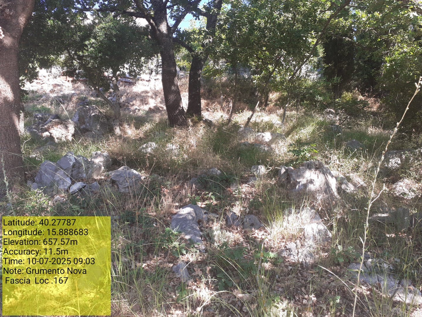 Galleria Fotografica Immagine