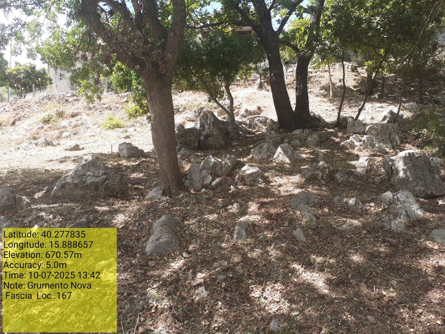 Galleria Fotografica Immagine