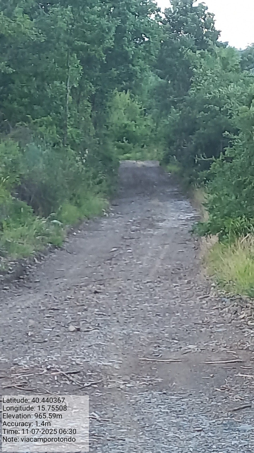 Galleria Fotografica Immagine