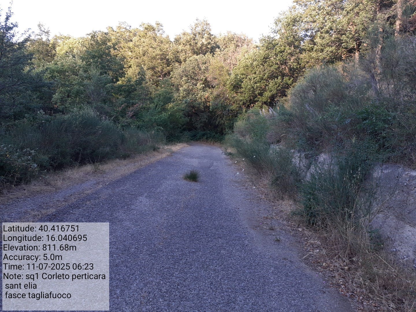 Galleria Fotografica Immagine