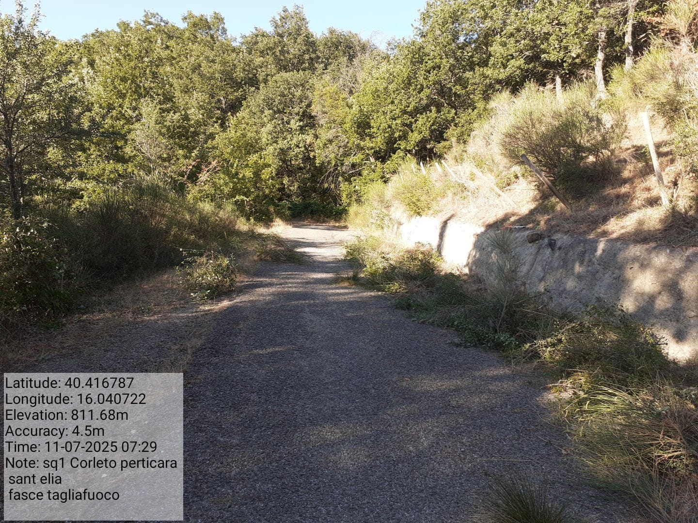 Galleria Fotografica Immagine