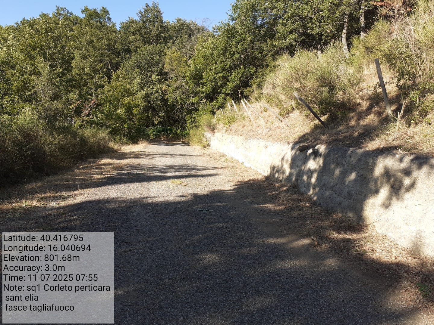 Galleria Fotografica Immagine