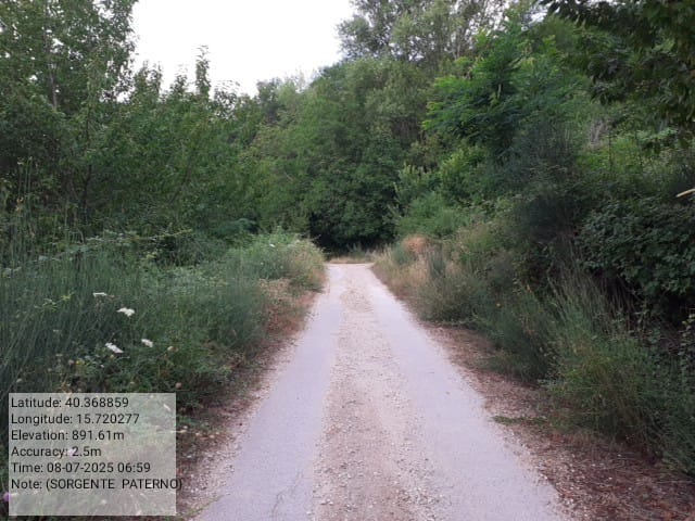 Galleria Fotografica Immagine