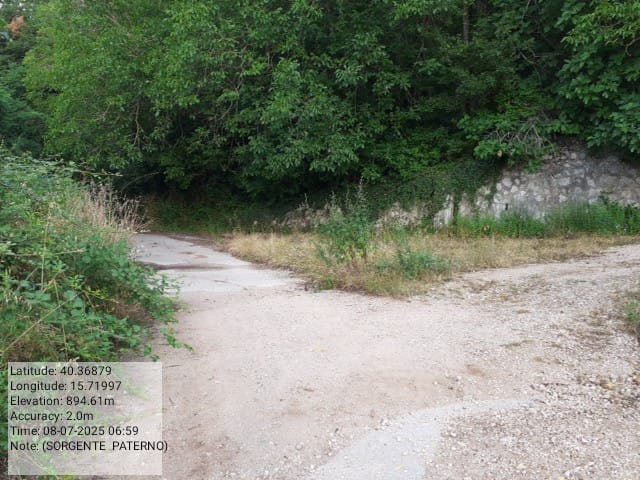 Galleria Fotografica Immagine