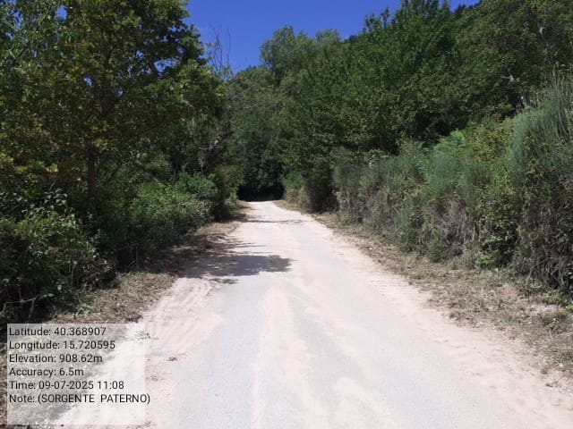 Galleria Fotografica Immagine