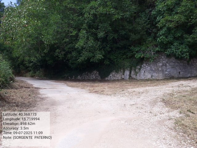 Galleria Fotografica Immagine